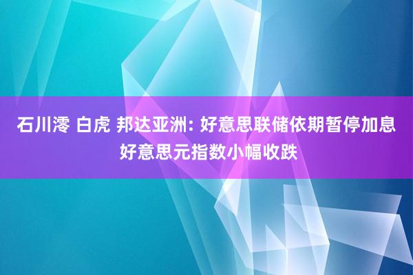 石川澪 白虎 邦达亚洲: 好意思联储依期暂停加息 好意思元指数小幅收跌