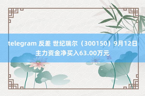 telegram 反差 世纪瑞尔（300150）9月12日主力资金净买入63.00万元