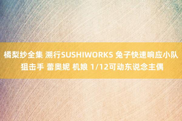 橘梨纱全集 溯行SUSHIWORKS 兔子快速响应小队 狙击手 蕾奥妮 机娘 1/12可动东说念主偶