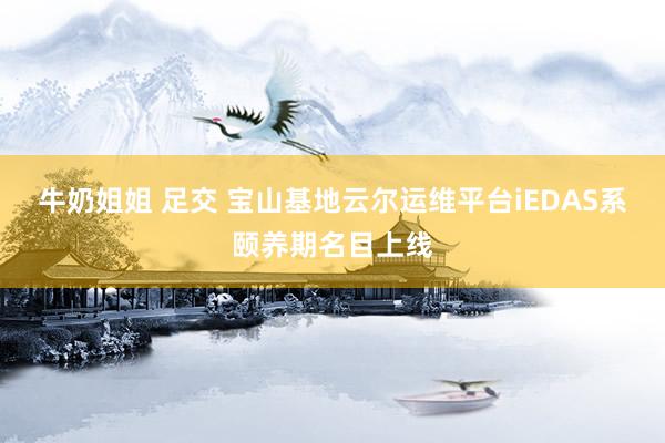 牛奶姐姐 足交 宝山基地云尔运维平台iEDAS系颐养期名目上线