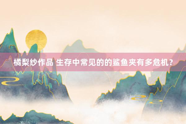 橘梨纱作品 生存中常见的的鲨鱼夹有多危机？