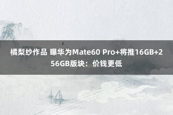 橘梨纱作品 曝华为Mate60 Pro+将推16GB+256GB版块：价钱更低
