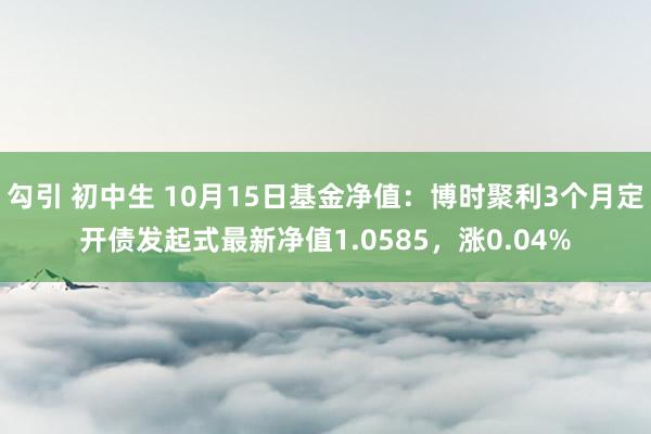 勾引 初中生 10月15日基金净值：博时聚利3个月定开债发起式最新净值1.0585，涨0.04%
