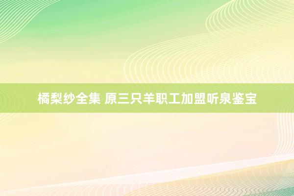 橘梨纱全集 原三只羊职工加盟听泉鉴宝