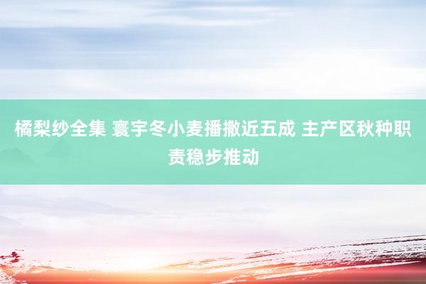 橘梨纱全集 寰宇冬小麦播撒近五成 主产区秋种职责稳步推动