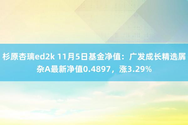 杉原杏璃ed2k 11月5日基金净值：广发成长精选羼杂A最新净值0.4897，涨3.29%