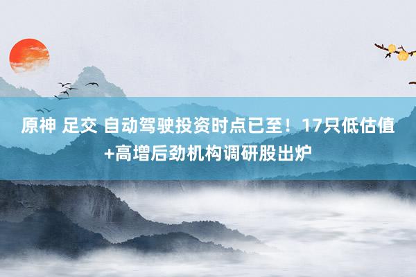 原神 足交 自动驾驶投资时点已至！17只低估值+高增后劲机构调研股出炉
