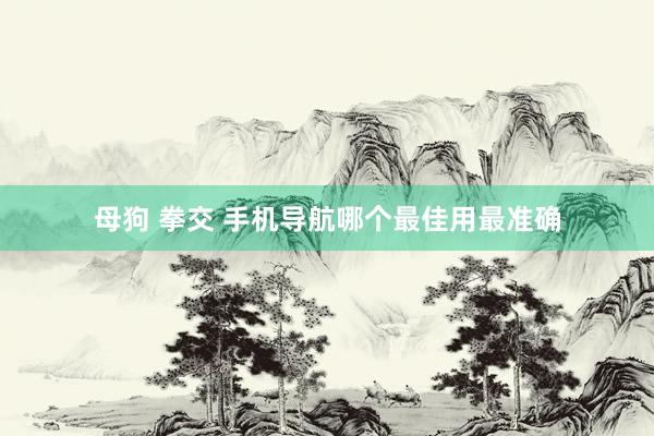 母狗 拳交 手机导航哪个最佳用最准确