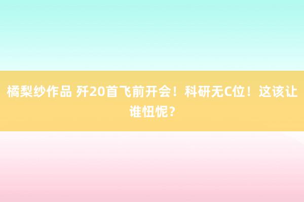 橘梨纱作品 歼20首飞前开会！科研无C位！这该让谁忸怩？