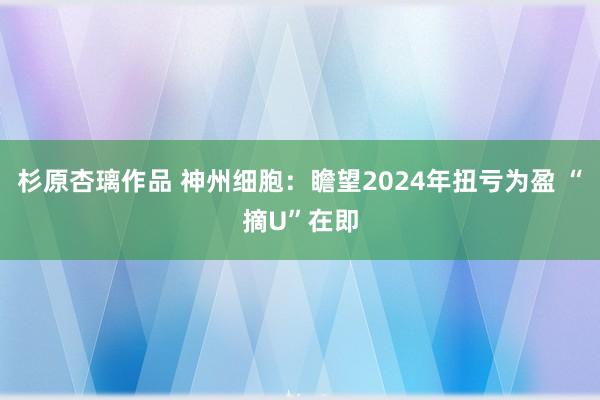 杉原杏璃作品 神州细胞：瞻望2024年扭亏为盈 “摘U”在即