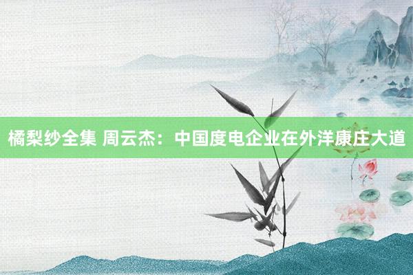 橘梨纱全集 周云杰：中国度电企业在外洋康庄大道