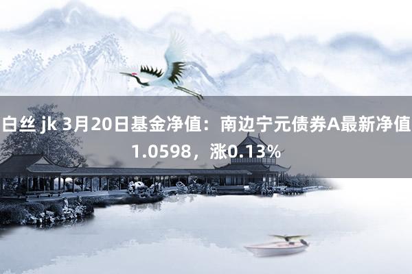 白丝 jk 3月20日基金净值：南边宁元债券A最新净值1.0598，涨0.13%
