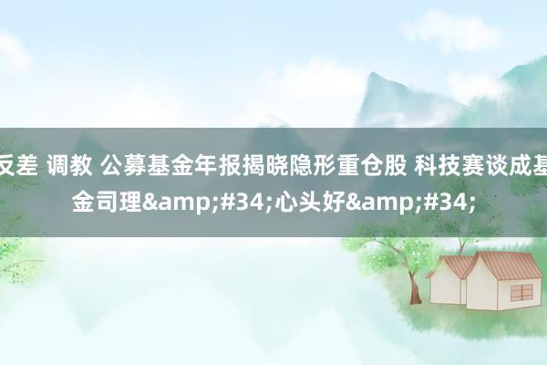 反差 调教 公募基金年报揭晓隐形重仓股 科技赛谈成基金司理&#34;心头好&#34;