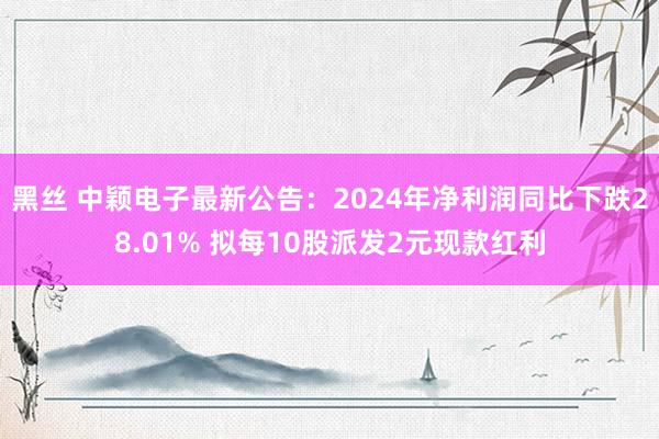 黑丝 中颖电子最新公告：2024年净利润同比下跌28.01% 拟每10股派发2元现款红利