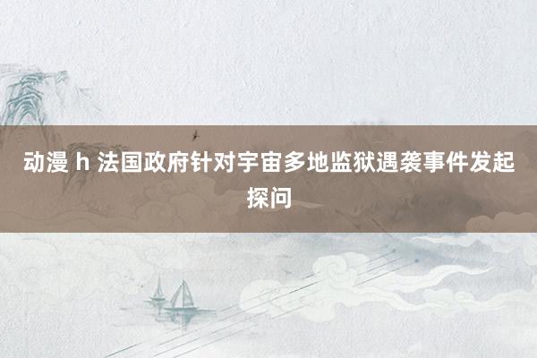 动漫 h 法国政府针对宇宙多地监狱遇袭事件发起探问