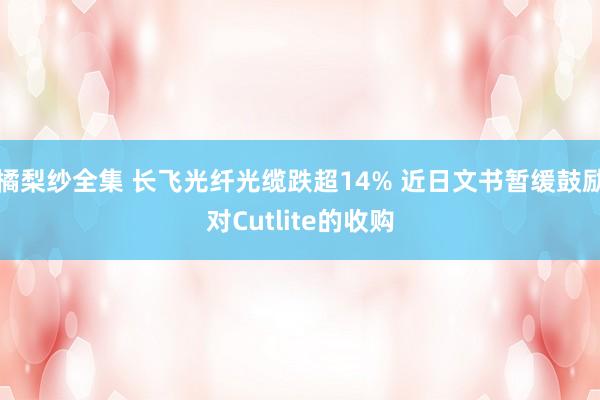 橘梨纱全集 长飞光纤光缆跌超14% 近日文书暂缓鼓励对Cutlite的收购