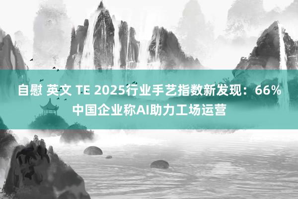 自慰 英文 TE 2025行业手艺指数新发现：66%中国企业称AI助力工场运营