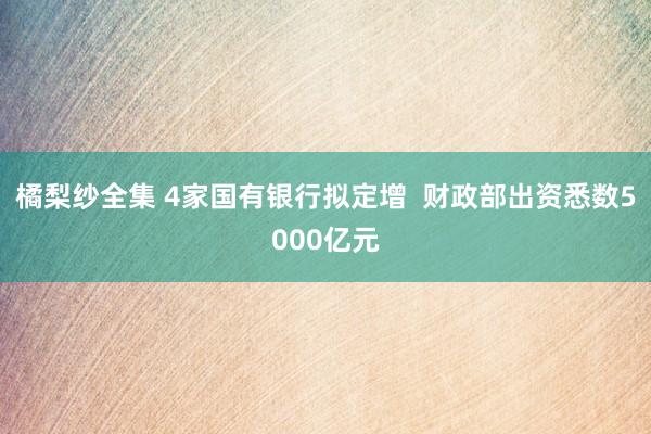 橘梨纱全集 4家国有银行拟定增  财政部出资悉数5000亿元