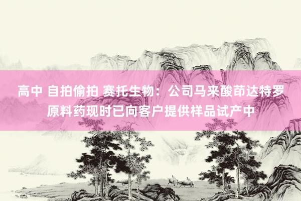 高中 自拍偷拍 赛托生物：公司马来酸茚达特罗原料药现时已向客户提供样品试产中