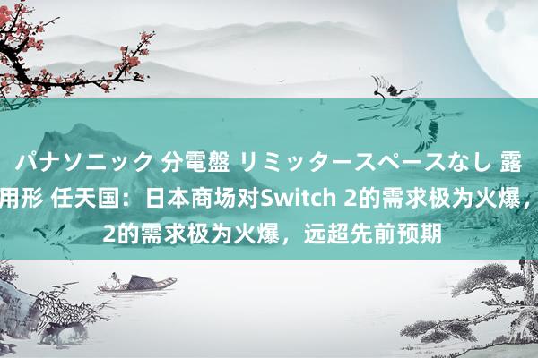 パナソニック 分電盤 リミッタースペースなし 露出・半埋込両用形 任天国：日本商场对Switch 2的需求极为火爆，远超先前预期